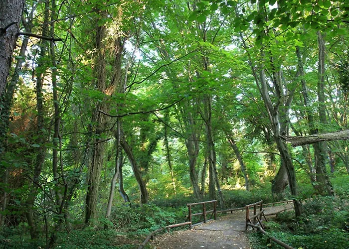 Lovely Nest With Glass Veranda *